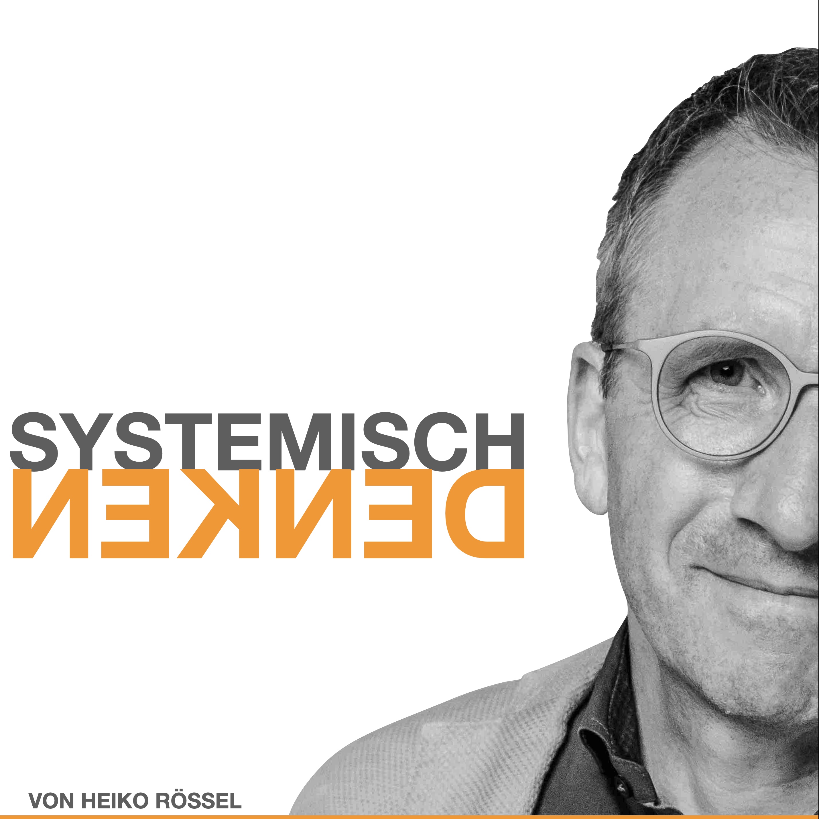 Systemisch Denken - Systemtheorie, Konstruktivismus und Soziale Systeme treffen die Wirtschaft, Theorie und Praxis für Ihren Beruf